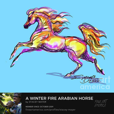 A Winter Fire Arabian Horse